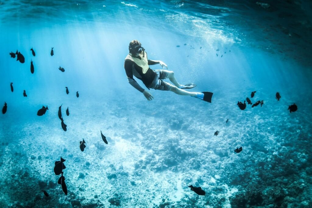 Sayulita's Best Time to Dive